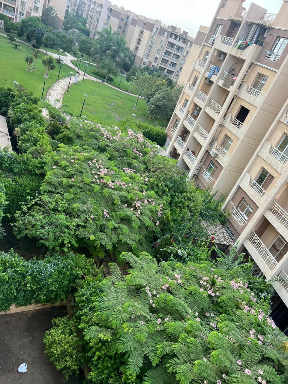 مجموعه 74 عماره 32 شقه 43